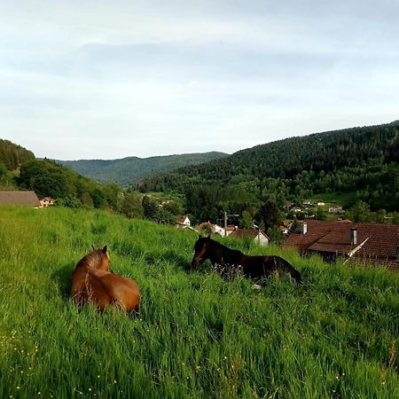 Gite De Famille Dans Les Vosges Saint-Maurice-sur-Moselle Exterior photo