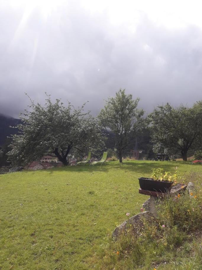 Gite De Famille Dans Les Vosges Saint-Maurice-sur-Moselle Exterior photo