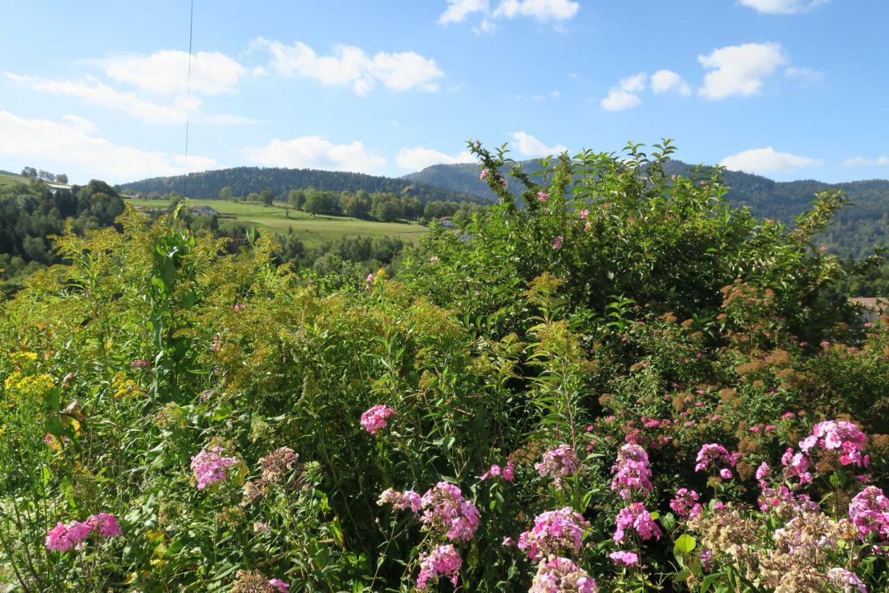 Gite De Famille Dans Les Vosges Saint-Maurice-sur-Moselle Exterior photo