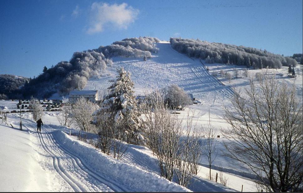 Gite De Famille Dans Les Vosges Saint-Maurice-sur-Moselle Exterior photo